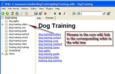 How to Track YouTube Videos