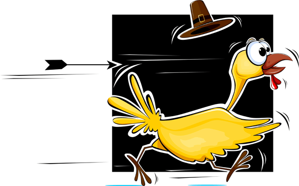 turkey running turkey running