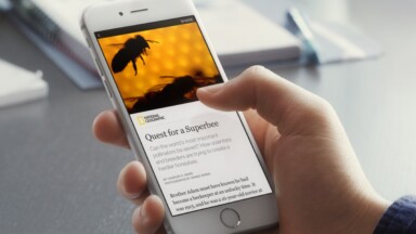 Tumblr Finally Adds the Ability to Search for GIFs
