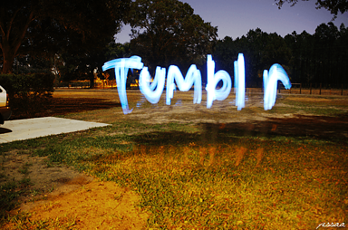 Tumblr Finally Adds the Ability to Search for GIFs
