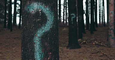 9 Actionable Steps to Improve Your Google Rankings
