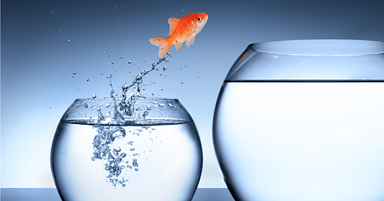 9 Actionable Steps to Improve Your Google Rankings