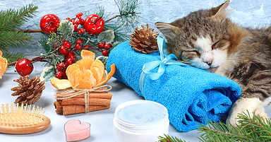 Health & Wellness Advertising Tips To Drive Holiday Sales
