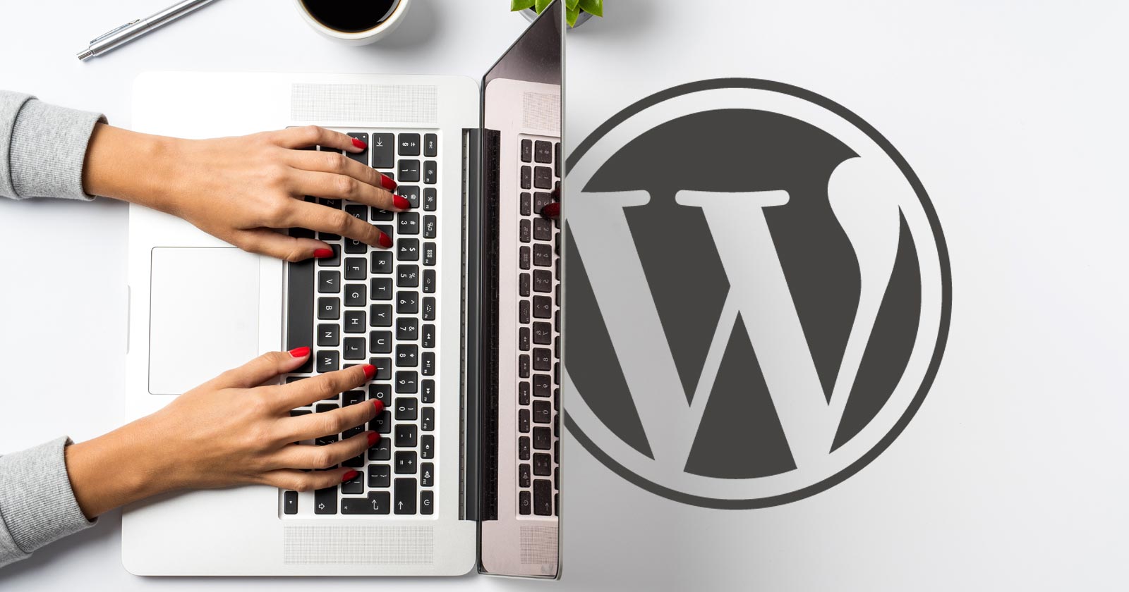 WordPress Playground – A New Tool You Need To Try Right Now
